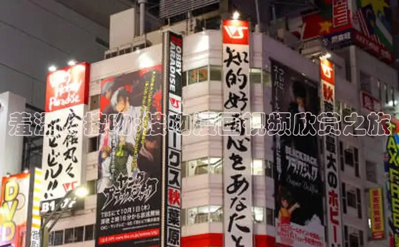 风车动漫(p)-专注动漫的门户